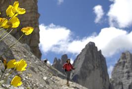 Parco Naturale Tre Cime