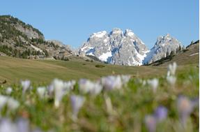 Nature park Fanes-Senes-Braies