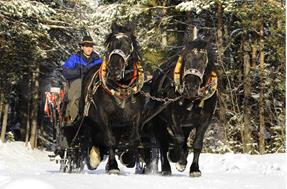 Speciale Natale: Arrivare in carrozza