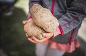 Storia - le patate di Villabassa: