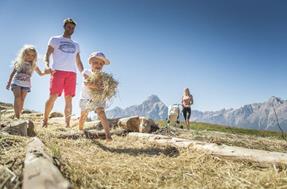 Sommertipps für Familien