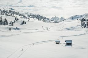 Cross country skiing