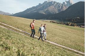 Spazierwege & Nordic Walking in Niederdorf