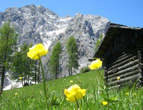 Escursioni Dolomiti