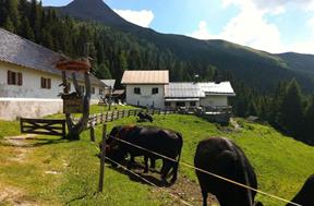 almbauernhof-coltrondo