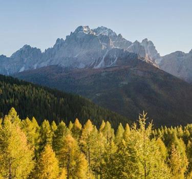 Voglia d'estate?