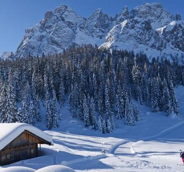 1300-500-winter-holidaypass[2]