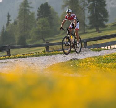 Vacanza estiva Dolomiti