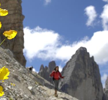 Parco Naturale Tre Cime