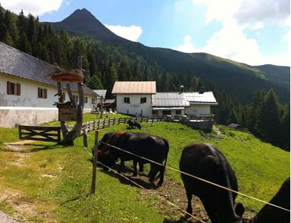 almbauernhof-coltrondo