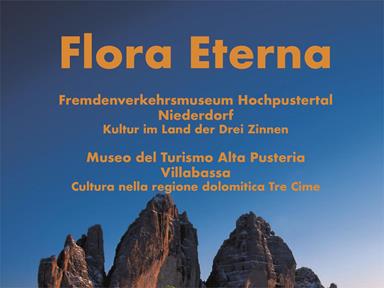Flora Eterna - La magia delle piante